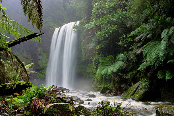 Hopetoun Falls in the Otways, Victoria, Australia stock photo