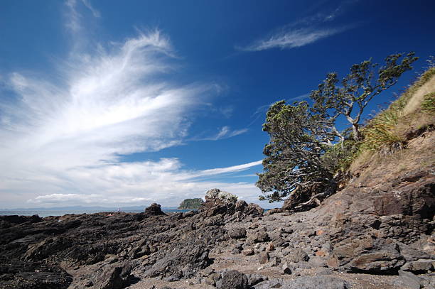 Fletchers bay New Zealand stock photo