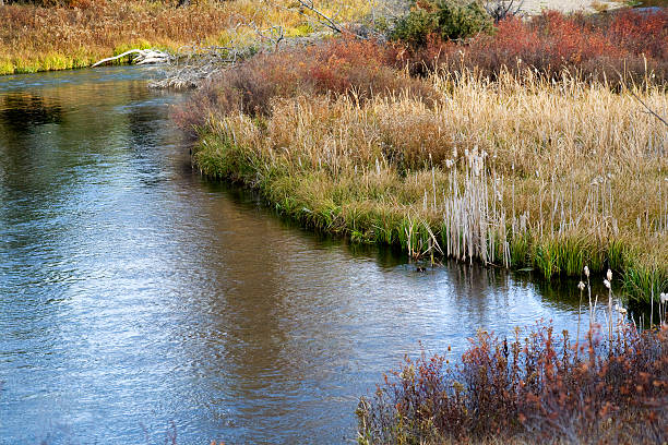 istock River Reflections Grass Fall Colors National Bison Range Charlo Montana 149052769