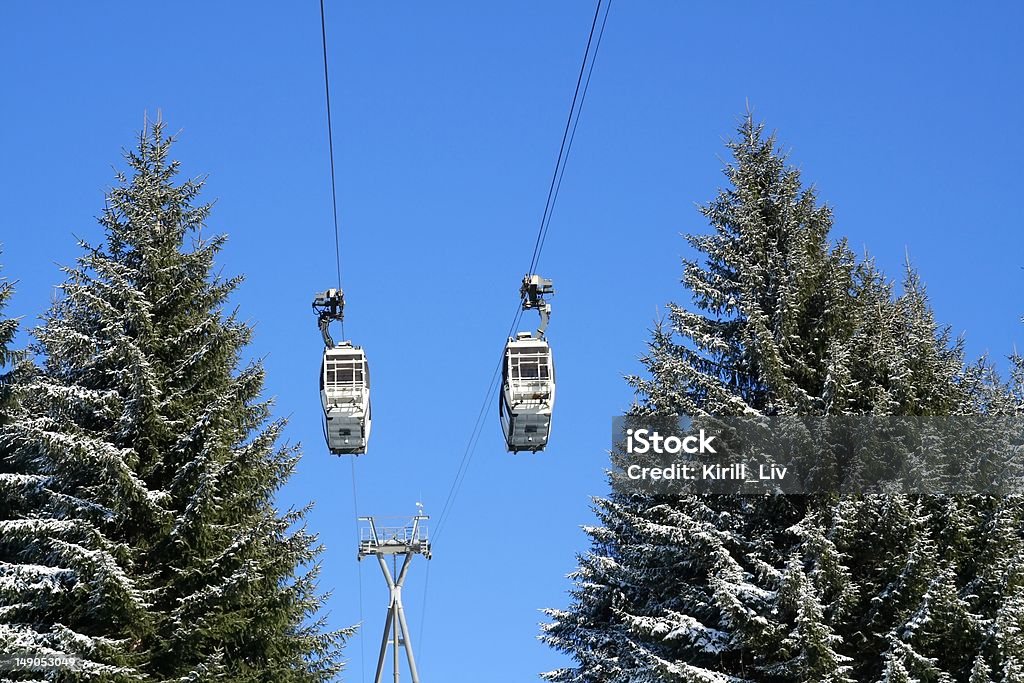 Un ascensor de esquí y de pinos - Foto de stock de Actividad libre de derechos