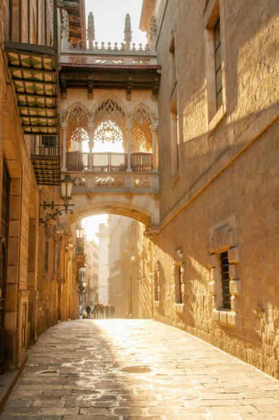 istock The Gothic Quarter in Barcelona 1490531521