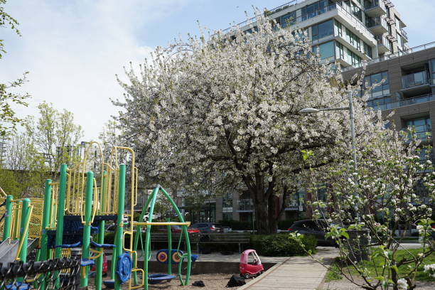 Vancouver, British Columbia; a collection of photos showing the public playgrounds facilities for kids