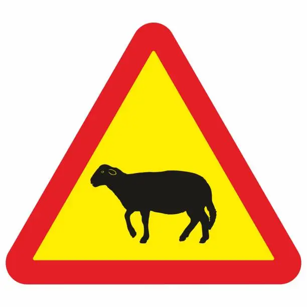 Vector illustration of Road, traffic sign, crossing sheep, animal, vector, eps.