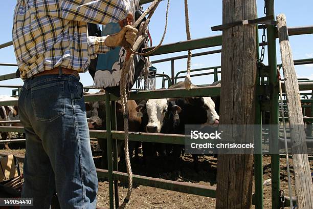 Preparación Para El Rodeo Foto de stock y más banco de imágenes de Cody - Cody, Wyoming, Guantes de trabajo