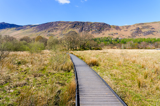 A raised boardwalk curves across the moors and marshes at the northern end of Derwent Water. Maiden Moor and Cat Bells fell in the background.