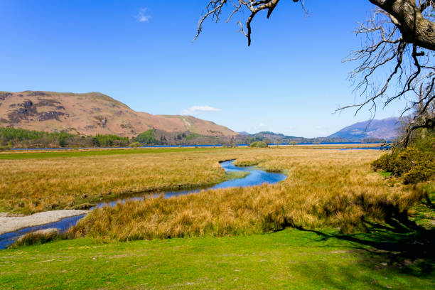 istock Meandering stream flows across Cannon Dub on Derwent Water. 1490549726
