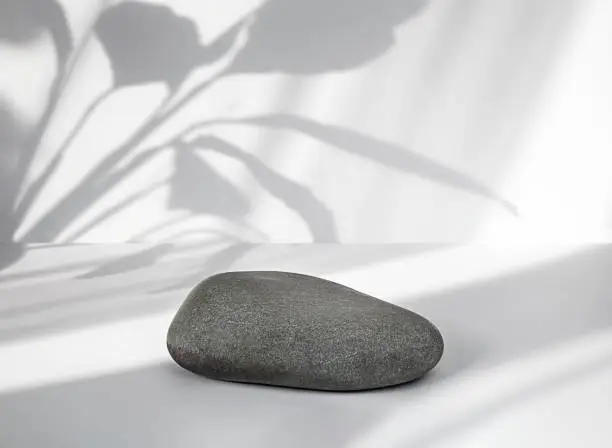 Photo of natural stone on white background with plant shadow.