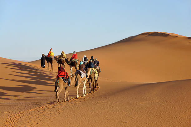 Camel trip in Sahara desert Camel trip in Sahara desert Merzouga, Morocco, north Africa camel train stock pictures, royalty-free photos & images