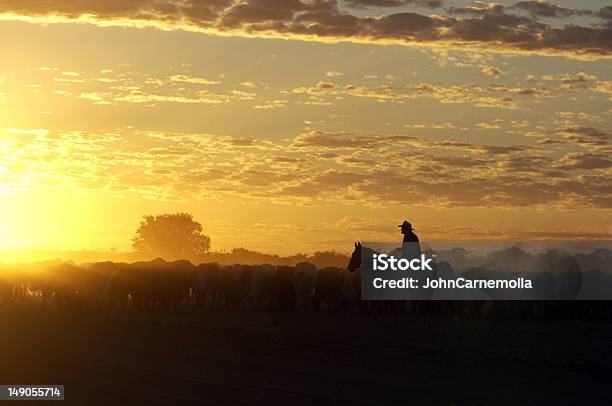 Foto de Gado Muster Nas Birdsville Queensland e mais fotos de stock de Vaqueiro - Vaqueiro, Gado, Vaqueiro Australiano