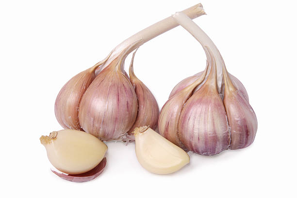 Two heads of garlic stock photo