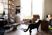 Black cat help to tidy up, smell boxes. Hispanic man unpacking and tidy up living room, sit on the floor by the bright window. Rearview