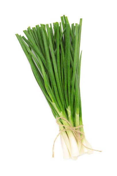 istock Green onion isolated on white background 1490561093