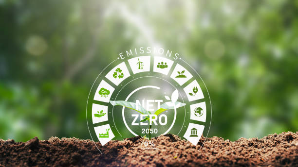 istock Net zero and carbon neutral concept Net Zero icon on growing seedlings for the target of net zero greenhouse gas emissions Long-term, climate-neutral strategy on a green background. 1490561695