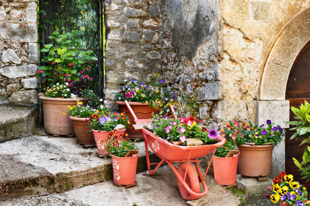 istock House entrance with potted flowers 1490563502