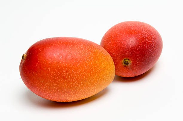 Mango stock photo