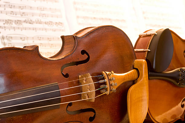 2 violins yacer juntos - foto de stock