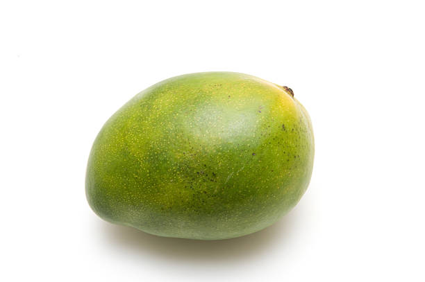 green mango stock photo