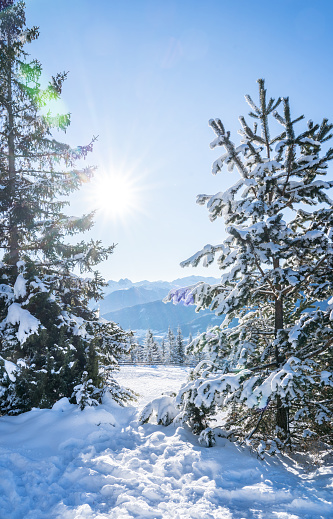 Beautiful winter landscape in Seefeld, Austria