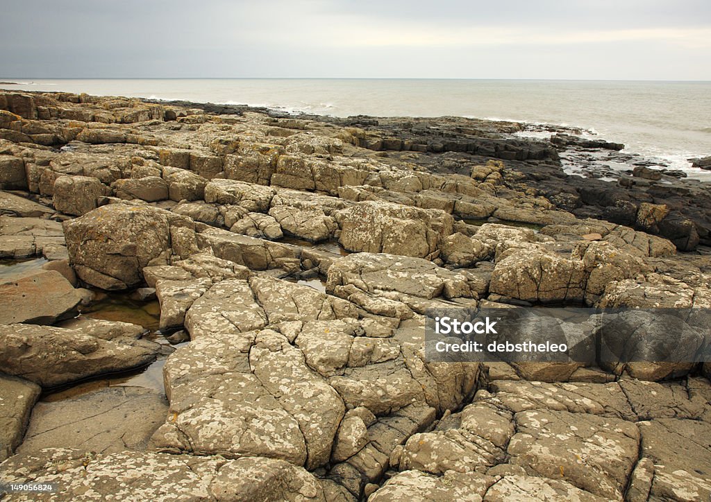 Spiaggia rocciosa in Northumberland - Foto stock royalty-free di Ambientazione esterna