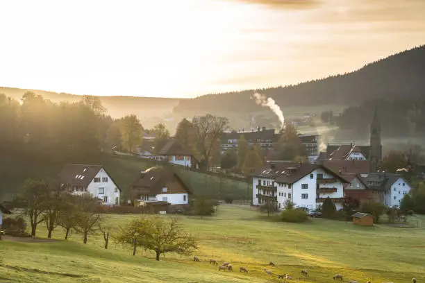 Landscape near village of Baiersbronn in Black Forest,Germany