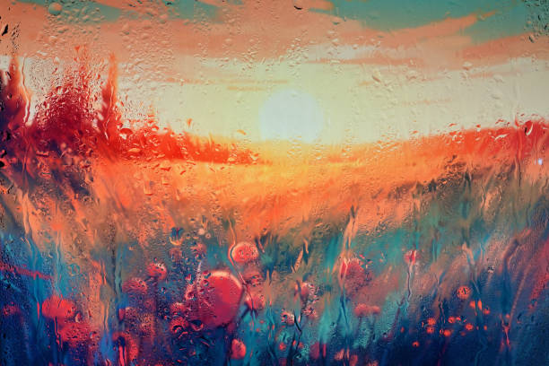 Red Poppy Fiield Behind Glass Window With Rain Drops Abstract Red Poppy Fiield Behind Glass Window With Rain Drops sunset dew stock pictures, royalty-free photos & images