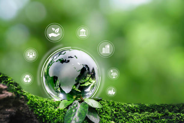 지속 가능한 개발과 환경 사회, 거버넌스 및 세계 지속 가능한 환경 사회 거버넌스 개념을 위한 비즈니스 협력을 위한 esg 아이콘이 있는 크리스탈 글로브. - 기업의 사회적책임 뉴스 사진 이미지