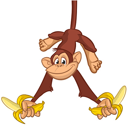 Cartoon monkey chimpanzee holding and eating banana. Vector illustration of happy monkey character design isolated.