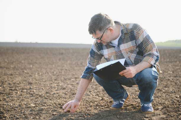 istock A farmer checks quality of soil before sowing. 1490581525