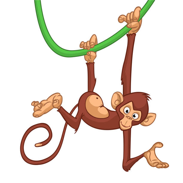 Cartoon monkey chimpanzee handing upside down on the tree branch or liana. Vector illustration of happy monkey character Cartoon monkey chimpanzee handing upside down on the tree branch or liana. Vector illustration of happy monkey character. clip art of a monkey holding banana stock illustrations