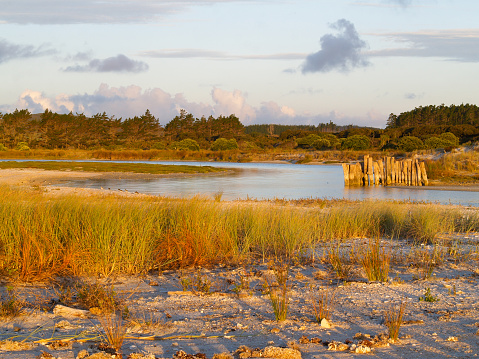 Stream running through dunes to waterfront past erosion protection posts in golden glow of sunset.