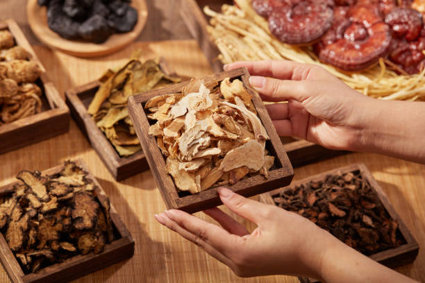 TRADITIONAL MEDICINE Female hand is holding a wooden tray containing Rhizoma Atractylodis macrocephalae. Blurred background with traditional chinese herbs. chinese herbal medicine stock pictures, royalty-free photos & images