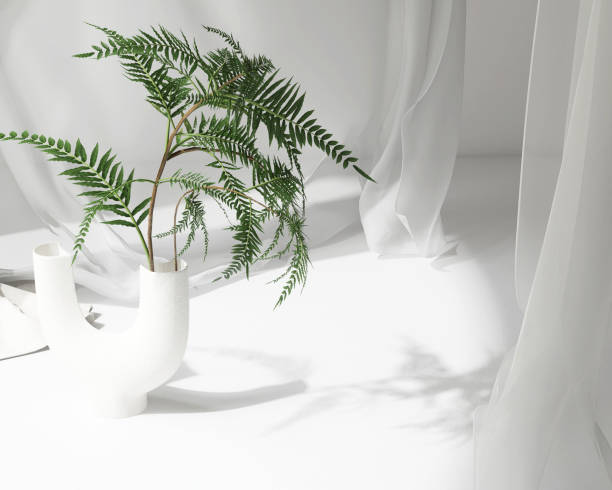 istock Empty white counter table, soft smooth blowing sheer cloth drapery, green tropical fern in modern ceramic vase in sunlight 1490583767