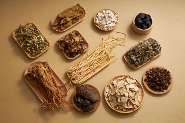 TRADITIONAL MEDICINE Traditional Chinese medicine with herbs placed in wooden plates on light brown background. Top view, scene for medicine advertising codonopsis pilosula stock pictures, royalty-free photos & images