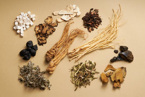 TRADITIONAL MEDICINE Top view of ancient Chinese herbs on light brown background. Advertising scene for health care products, derived from natural herbs codonopsis pilosula stock pictures, royalty-free photos & images
