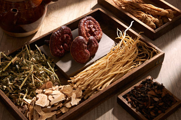 TRADITIONAL MEDICINE Natural, rare and healthy medicines are placed on wooden trays on brown table background. Traditional Chinese medicine is used in the prevention and treatment of diseases codonopsis pilosula stock pictures, royalty-free photos & images