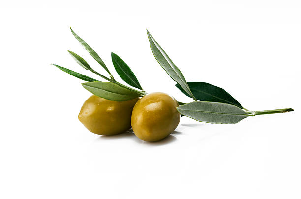 green olives on a branch isolated on white - olijfblad stockfoto's en -beelden