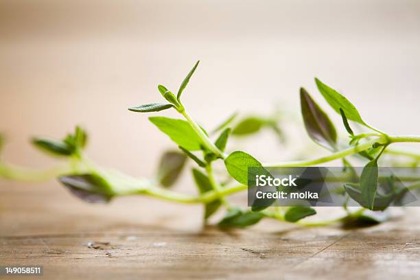 Fresh Thyme Stock Photo - Download Image Now - Bunch, Close-up, Extreme Close-Up