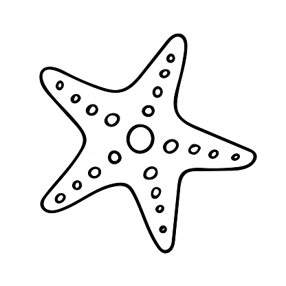 Doodle of starfish isolated on white background. Hand drawn vector illustration of inhabitants of the underwater world. Design of kids tattoo or coloring book.