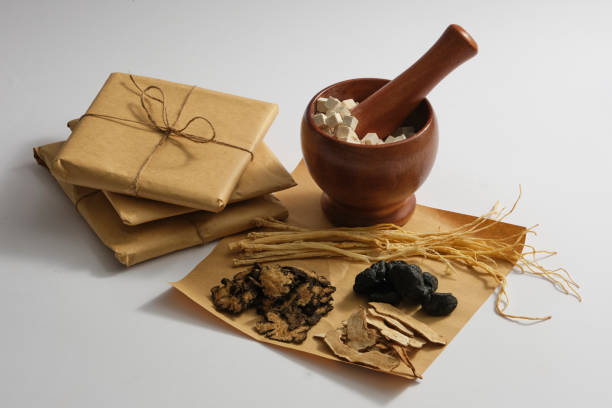 TRADITIONAL MEDICINE A mortar with Poria cocos and pestle inside, Dang shen, Bai Zhu, Szechuan Lovage Rhizome and Radix rehmanniae displayed around. Herbs may improve brain function and energy levels codonopsis pilosula stock pictures, royalty-free photos & images