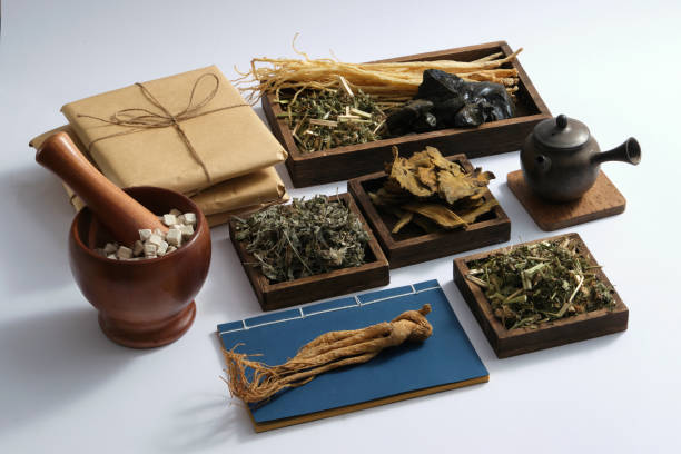 TRADITIONAL MEDICINE Some wooden trays with many types of herb placed on, displayed with earthen pot, medicine packs, ancient Chinese medicine books, mortar and pestle. Chinese herbal therapy to enhance health condition codonopsis pilosula stock pictures, royalty-free photos & images