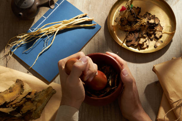 TRADITIONAL MEDICINE Hand model using mortar and pestle to pound herbs. Szechuan Lovage Rhizome, Dangshen and Rhubarb root and rhizome displayed around. Healthy medicine concept codonopsis pilosula stock pictures, royalty-free photos & images