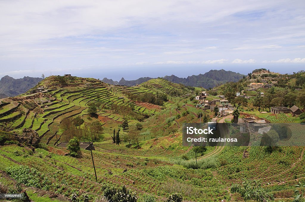 Village on the mountain top A small village along the mounatin top of Santo Anto, Cape Verde. Cereal Plant Stock Photo