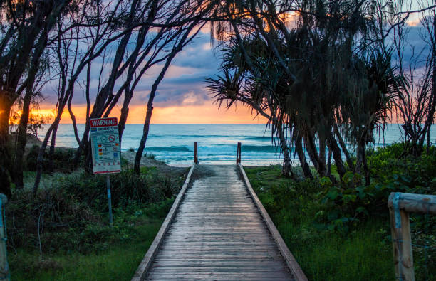 istock landscape of beach boardwalk 1490595257