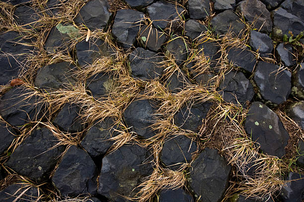 Stone path with grass, detail shot stock photo