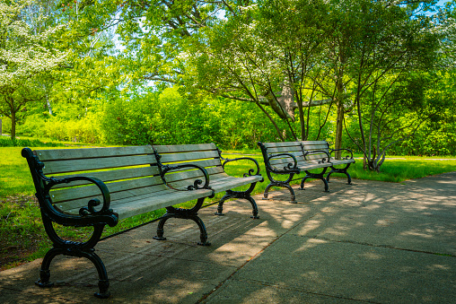 Wooden vintage bench in a public Park.