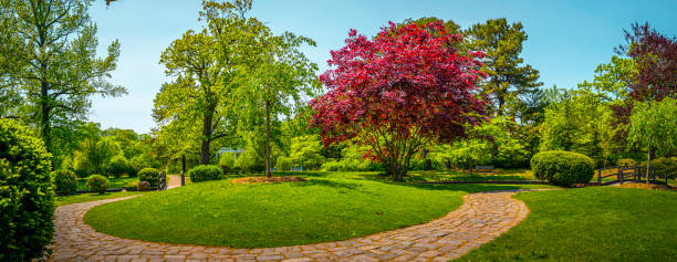 Japanese Garden at Roger Williams Park, Providence, Rhode Island, circular footpath, red maple and green willow trees on the hill