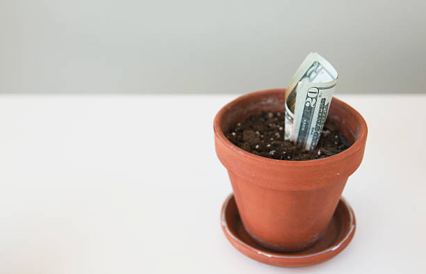 istock Money growing from flower pot 149059881