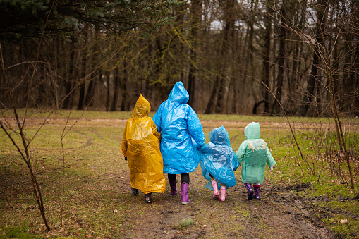 Rear view of mother and three children walking in the forest after rain in raincoats together.