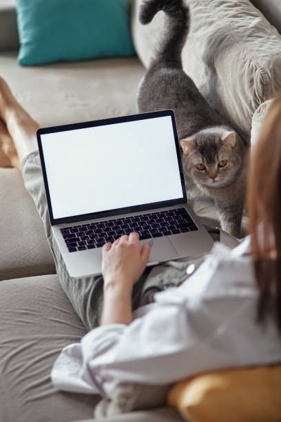 istock Mockup white screen laptop woman using computer and pet cat lying on sofa at home, back view, focus on screen 1490600963