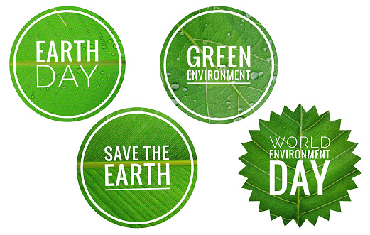 World environment day sticker collections on white background, ecological and environmental logo with green leaf pattern